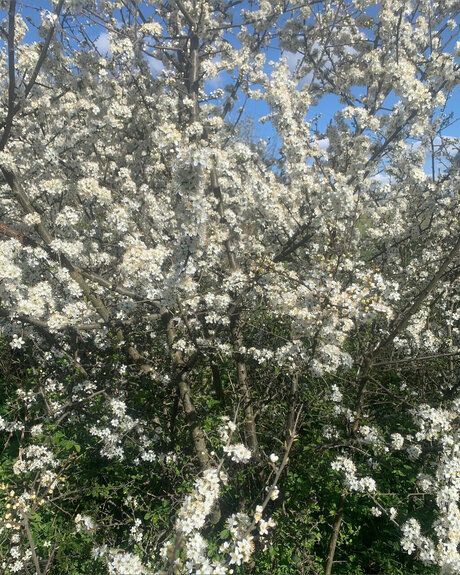 big black cock onlyfans sexy img