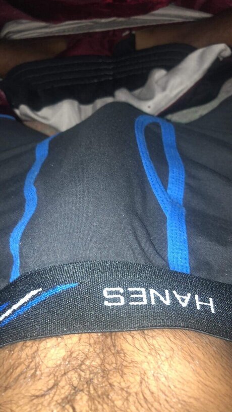 Lokodick nice pornstar galleries