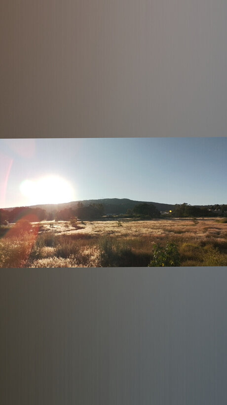 Jos Buenrostro pretty actress pictures