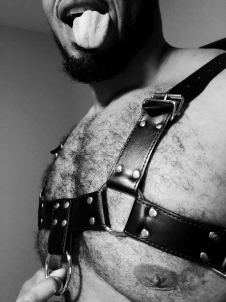 Masculine Sissy star adult image