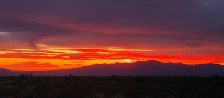 Matthew Alequin naked actress archive