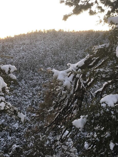 TommyBear pornstar nudes photo