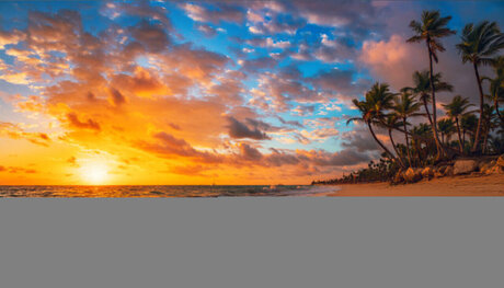 bikini princess onlyfans art xxx galleries