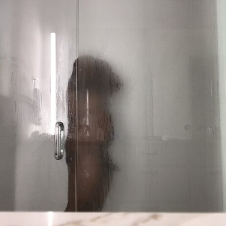 Harvard10th perfect model picture