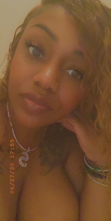 PECANTAN model perfect image