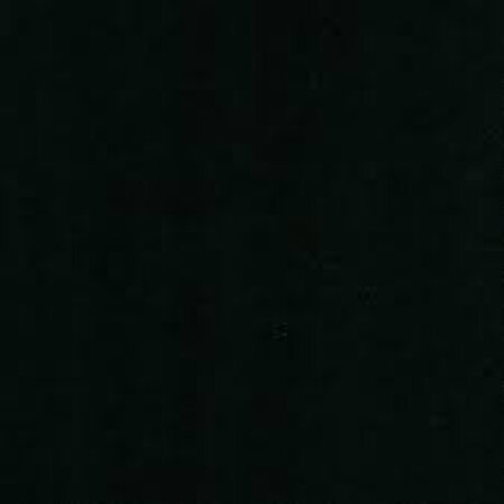 Happylizard pornstar top image