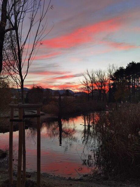 BlueGirl model nice images