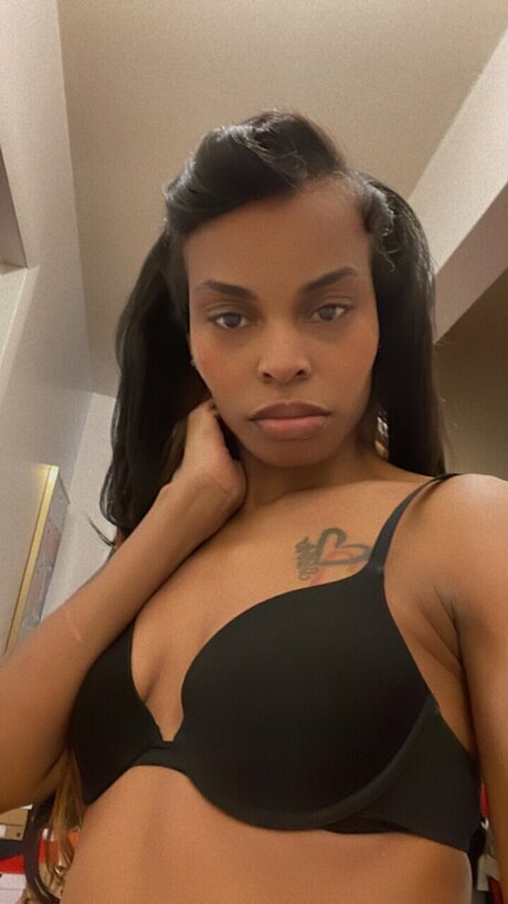 Muhmoney model archive