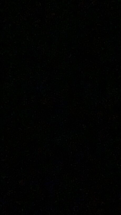 Taco_ star hd archive