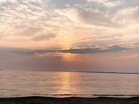 The Confi Domme star perfect image