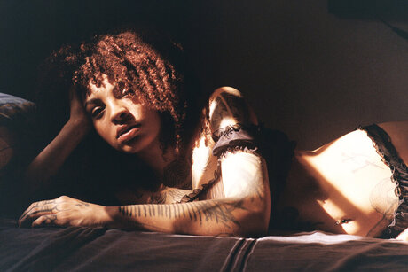 Moliv Painter Cool cat star exclusive gallery