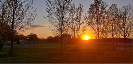 Just a dick pornstar adult pics