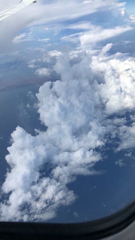 NiCholee pornstar top archive