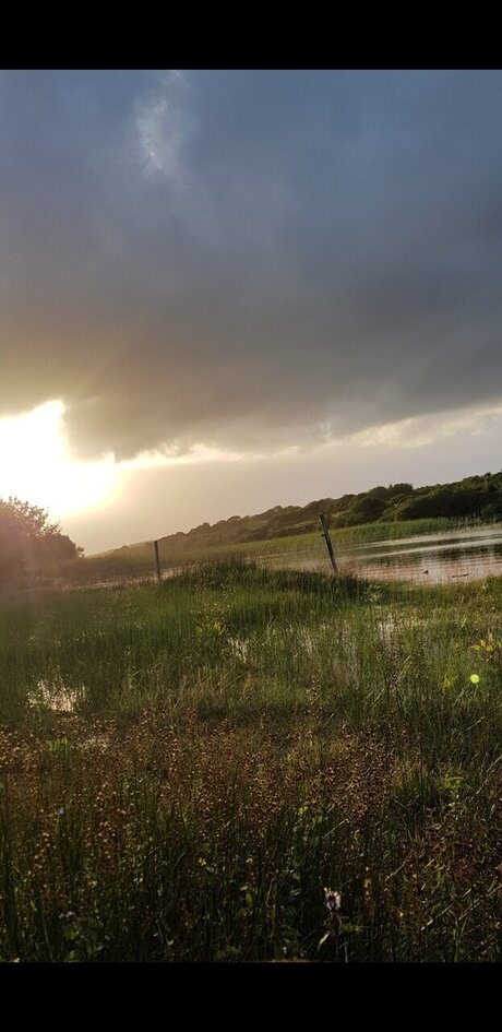 EliasYoung xxx actress image