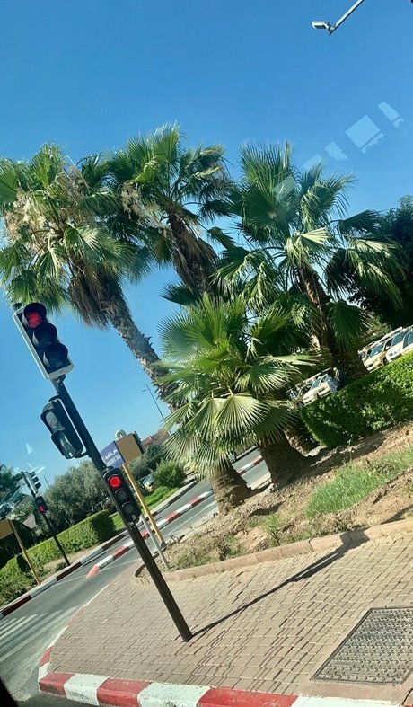 coco lls porn model image