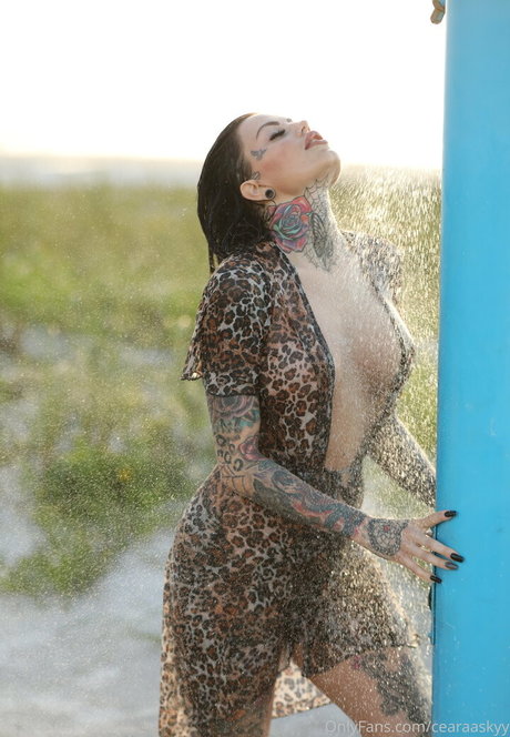 whitedovecries star beautiful gallery