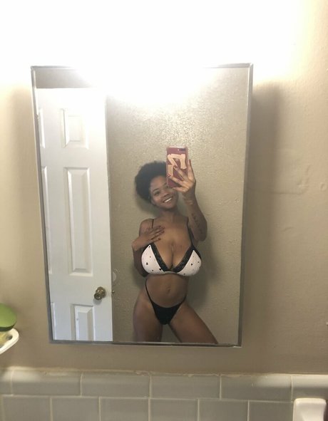 Bush Baby top model archive