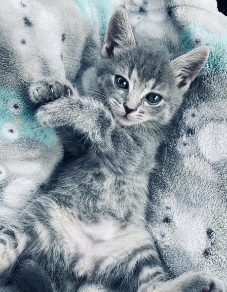 xxxhookedonbrookefree model xxx photos