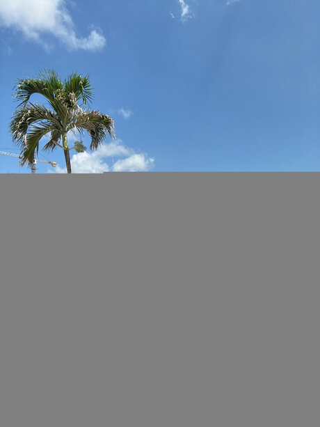 BiaBunnyy nudes actress photos