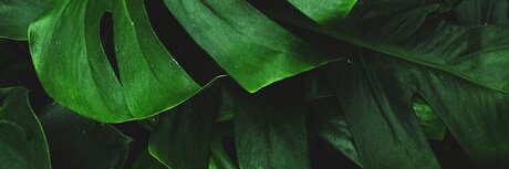 Mr J porn model picture