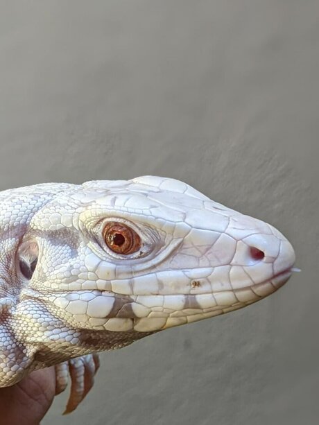 redhead ass onlyfans naked image