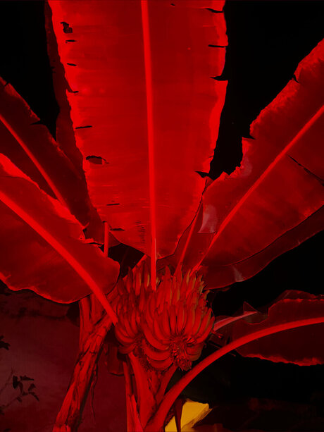 babybutter666 actress img