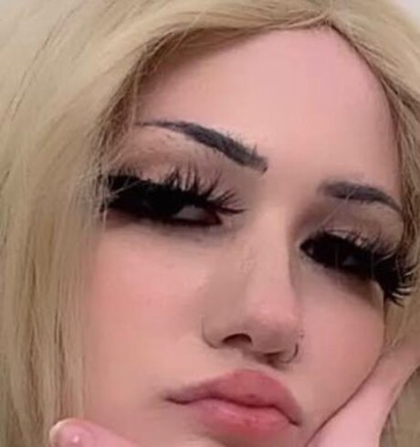 Laila Fawn star free image