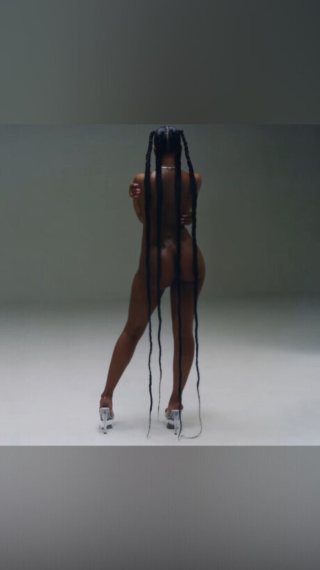 Boujie Vixens_ star nude images