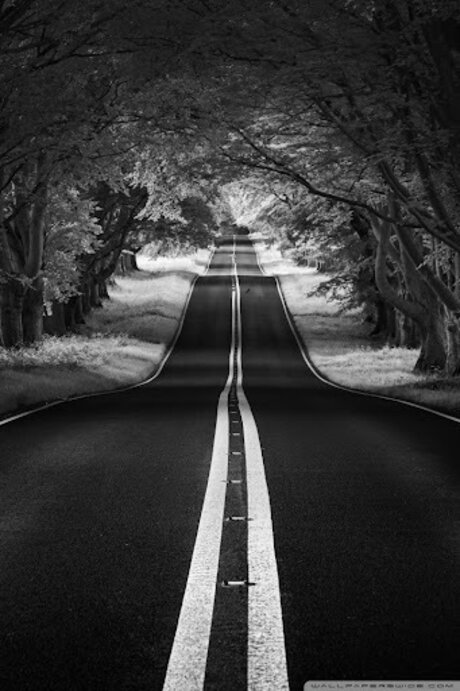 ThatOneGirl_ high quality star photo