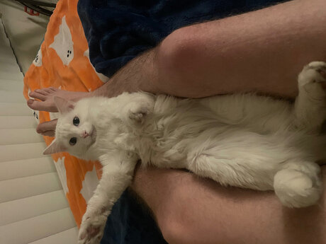 Michi Fink naked model pictures