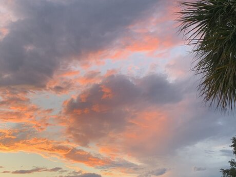 Sacred Dnari model erotic images