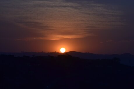 Coach Davis pornstar sexy pics