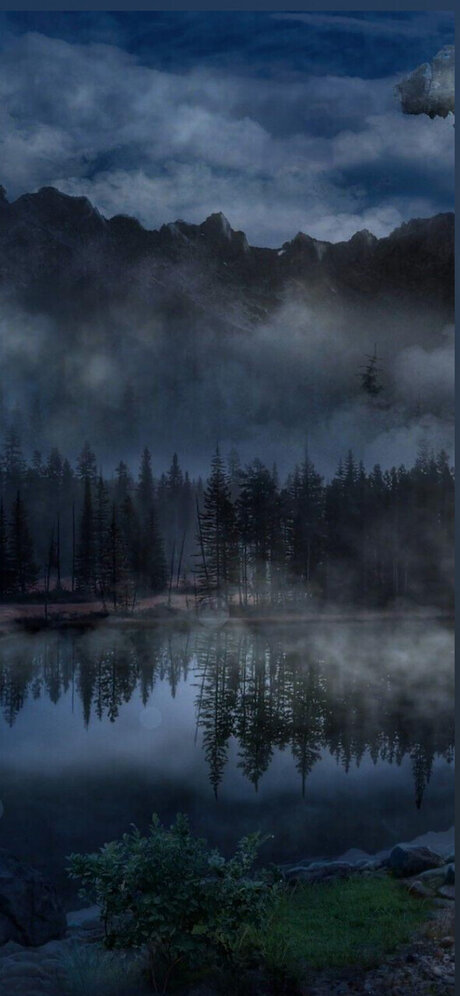 Poizon Ivy perfect model archive