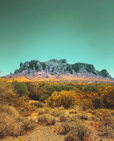 Ponyboy Express top actress pics