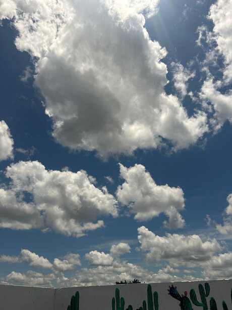 Dany love 22 star nude img