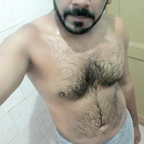 Desy BULL star nice image