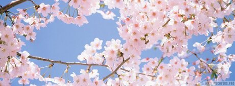 Thatoneguy pornstar beautiful images