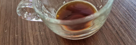 Thatchileanguy hot pornstar gallery