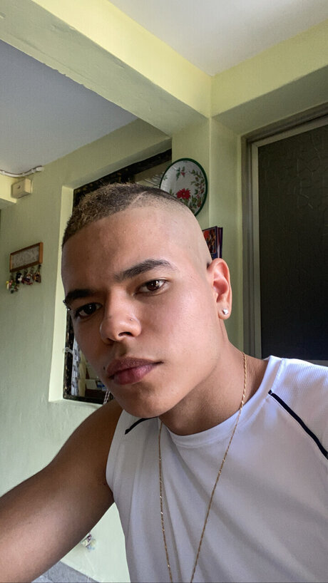 Alessandro Harris best model gallery