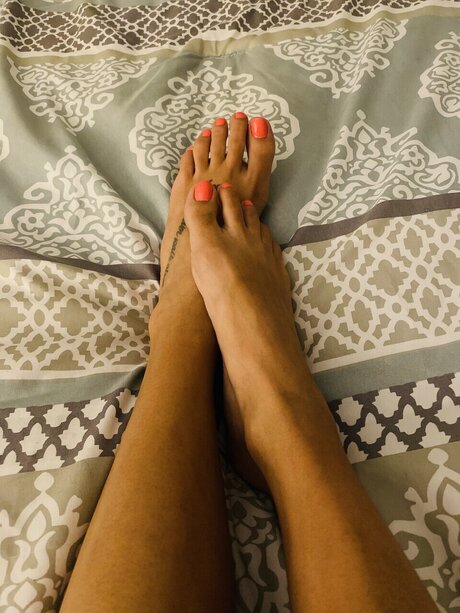 Daisy Delight hot pornstar galleries