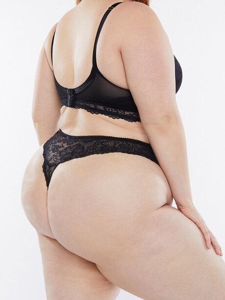 Lilac Madison star beautiful archive