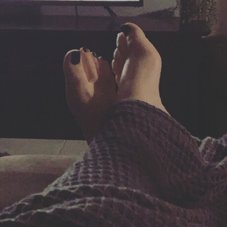 Sass star free galleries