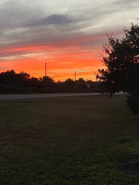 Tierney nice star images