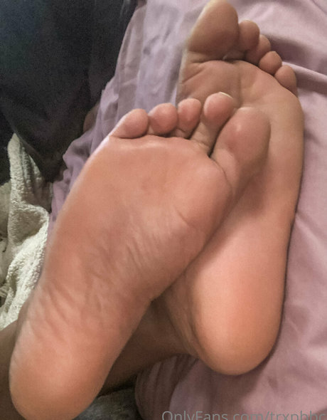 trxpbbc best model gallery