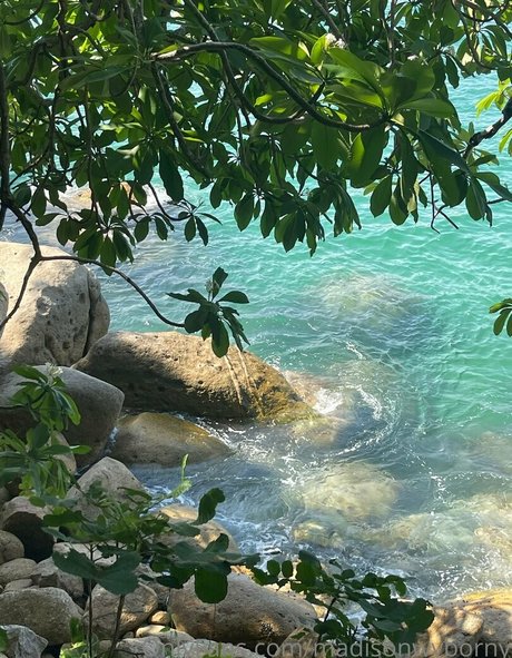 lucy love98 best star picture