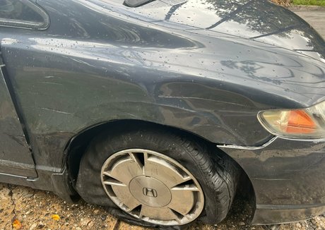 jena larose pornstar xxx photos