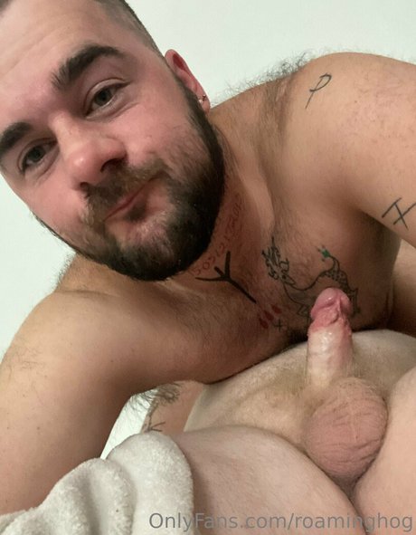 roaminghog naked actress picture