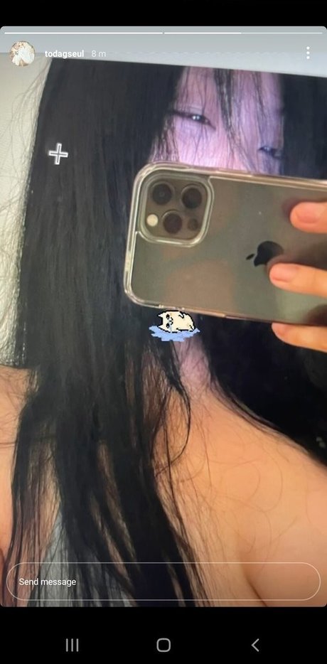 todagseul star free pic