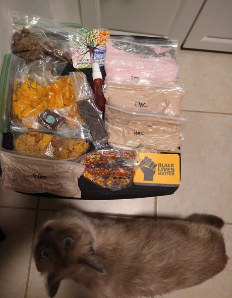 flowerpower87 star porn pics