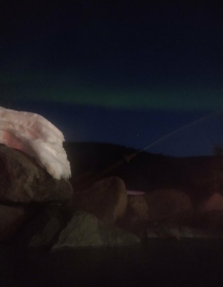 flowerpower87 pornstar naked photo